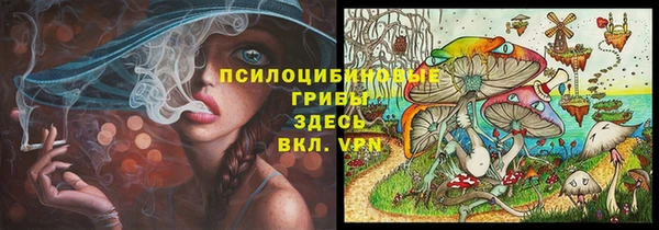 spice Магадан