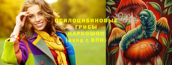 spice Магадан