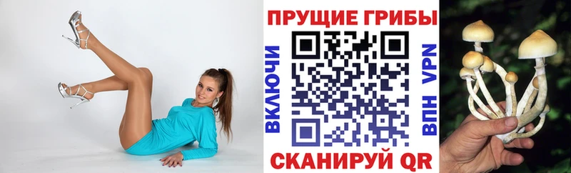 Псилоцибиновые грибы мицелий  Урай 
