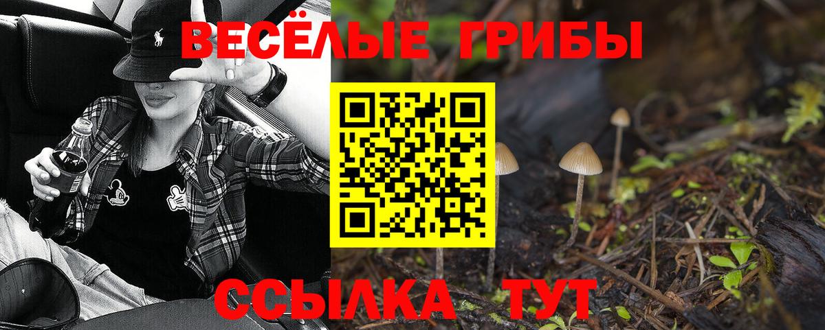 Галлюциногенные грибы мухоморы  Урай  Галлюциногенные грибы Magic Shrooms 