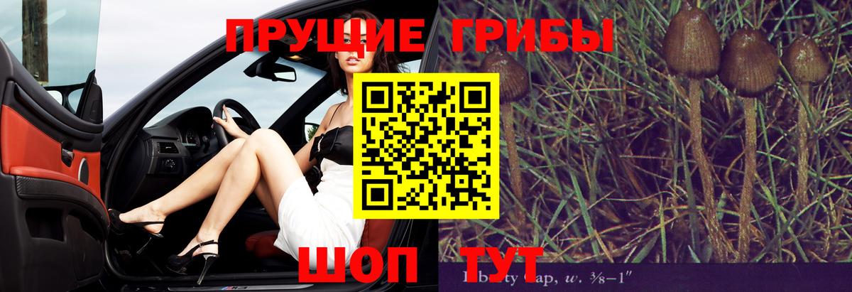 Галлюциногенные грибы Magic Shrooms Урай